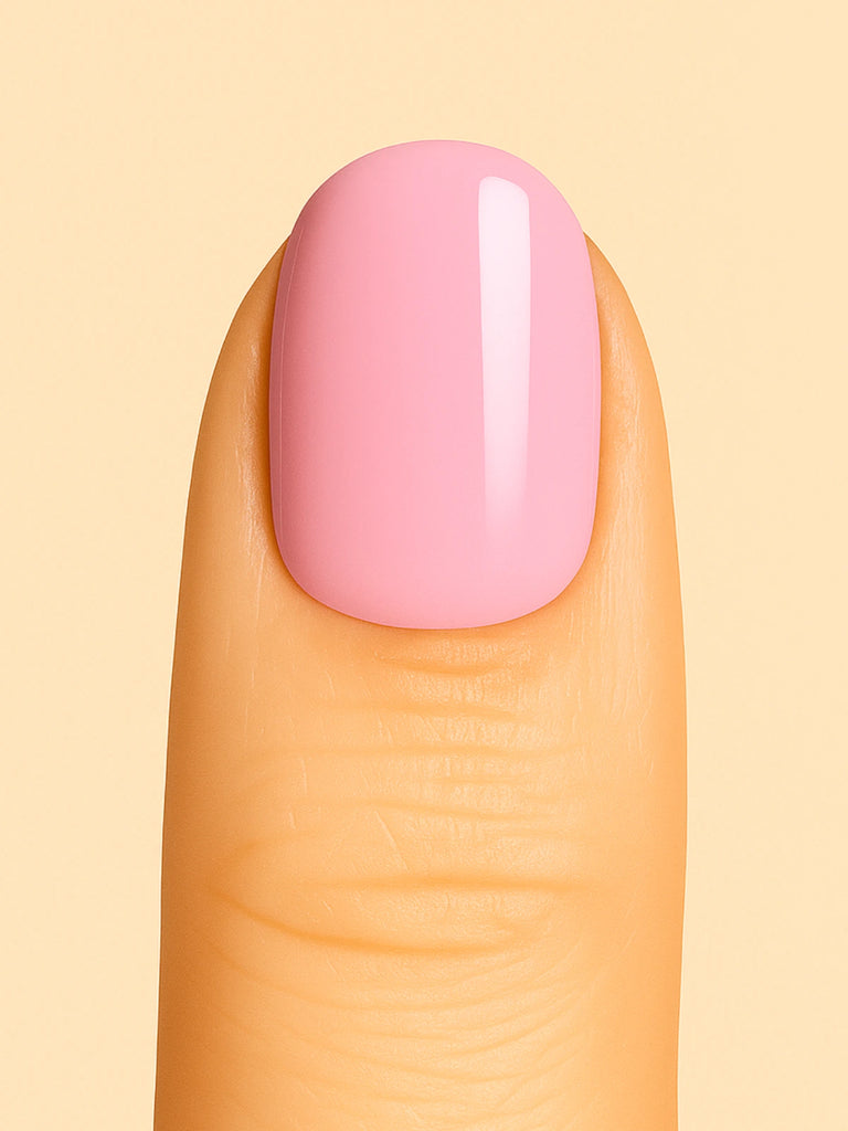 ROSA BARBIE (Confezione singola)